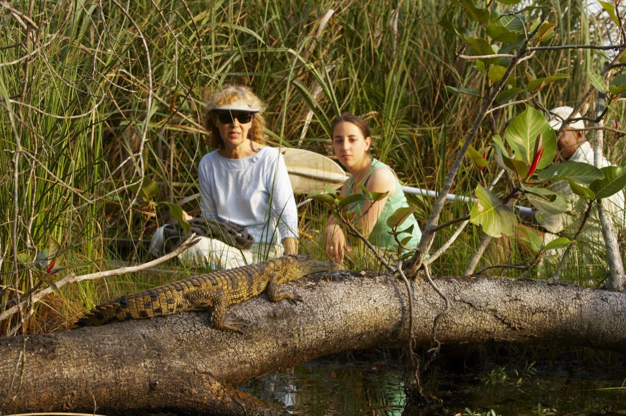 Kosi Forest Lodge Manguzi Zewnętrze zdjęcie