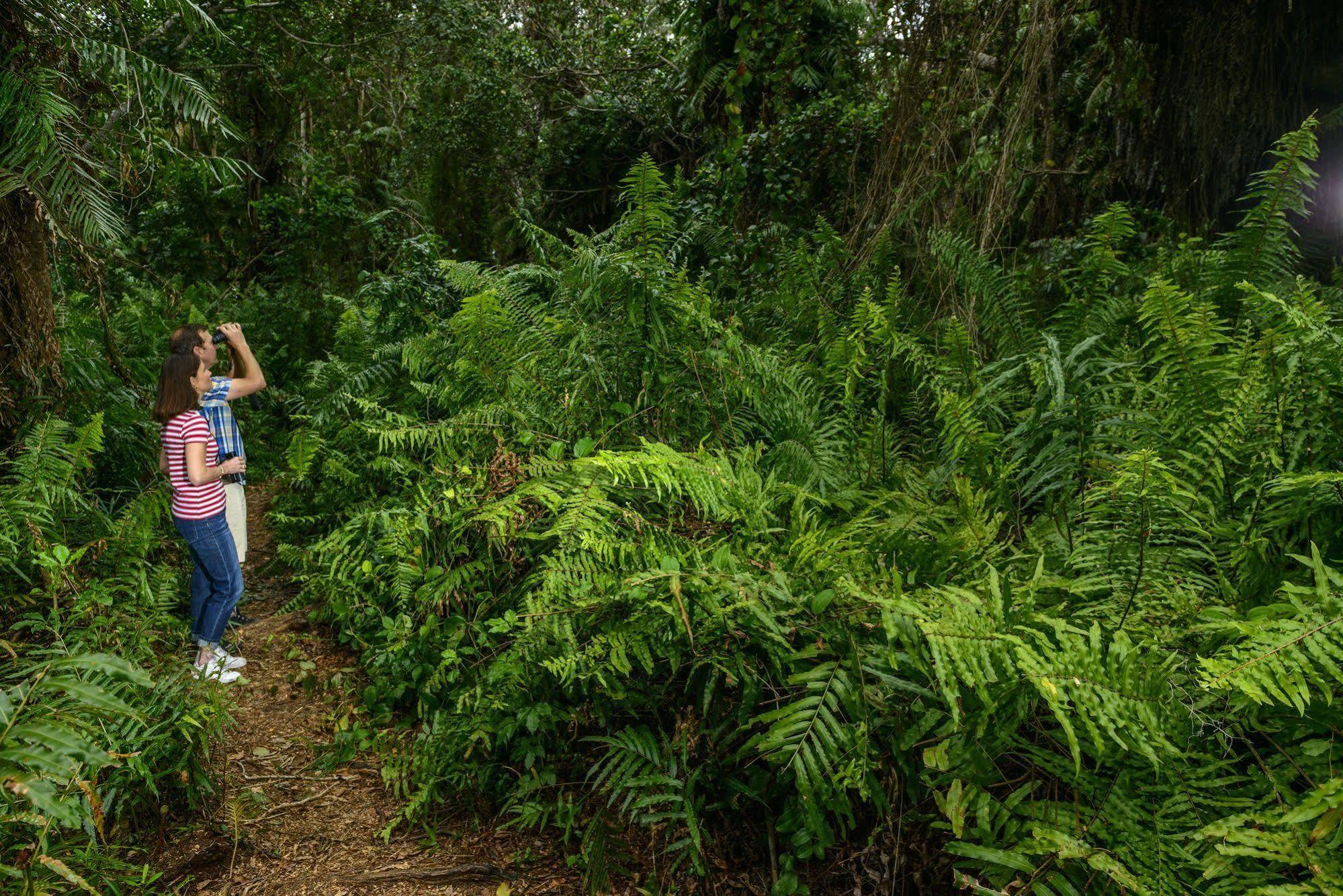 Kosi Forest Lodge Manguzi Zewnętrze zdjęcie