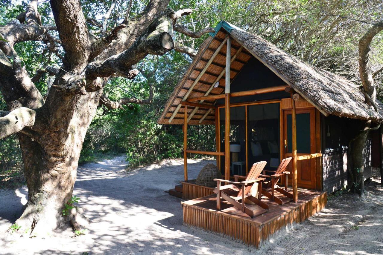Kosi Forest Lodge Manguzi Zewnętrze zdjęcie